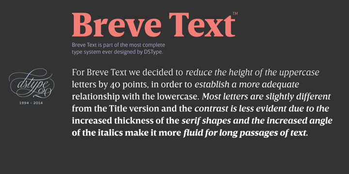 Breve Text Font Poster 3