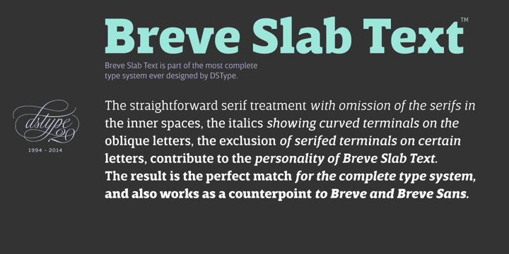 Breve Text Font Poster 8