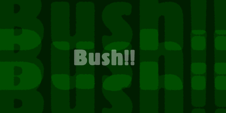 Bush!! Font Poster 1
