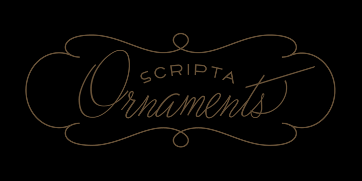 Scripta Pro Font Poster 30