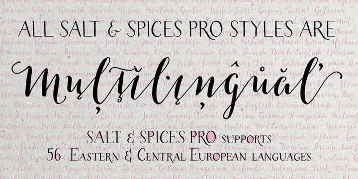 Salt & Spices Pro Font Poster 10