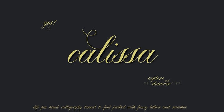Calissa Pro Font Poster 1