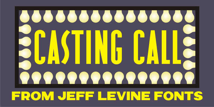 Casting Call JNL Font Poster 1
