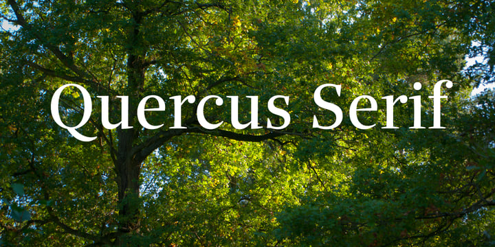 Quercus Serif™