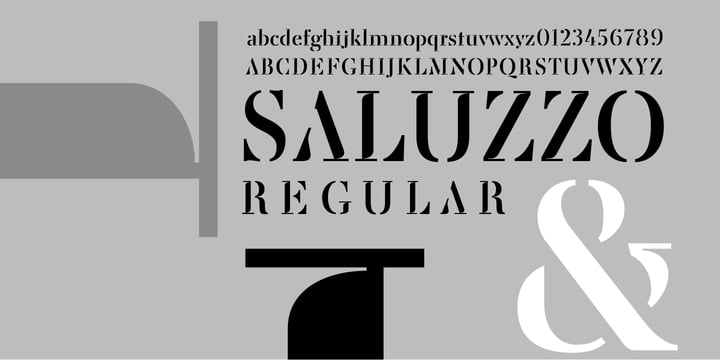 Saluzzo Font Poster 3