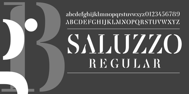 Saluzzo Font Poster 6