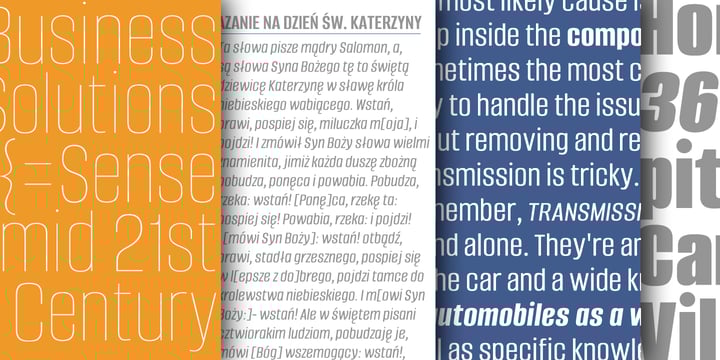 Alumni Font Poster 6