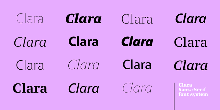 Clara Serif Font Poster 3