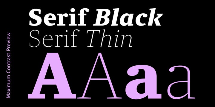 Clara Serif Font Poster 6