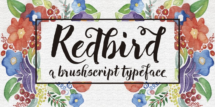 Redbird Font Poster 1