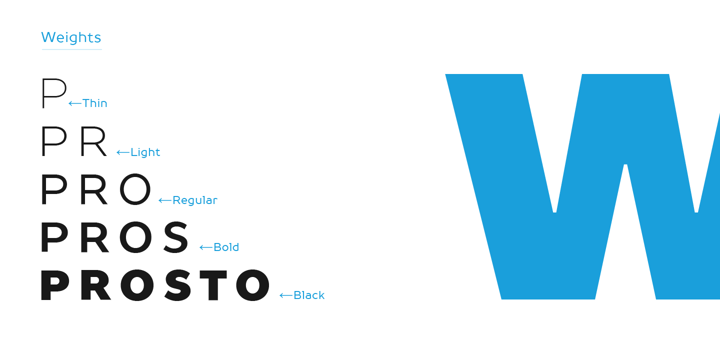 TT Prosto Sans Font Poster 10