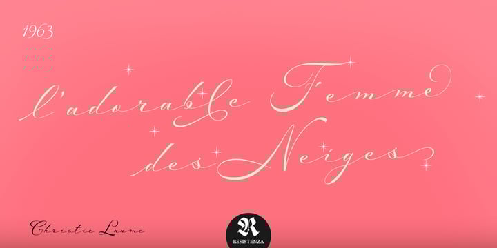 Mina Chic Font Poster 6