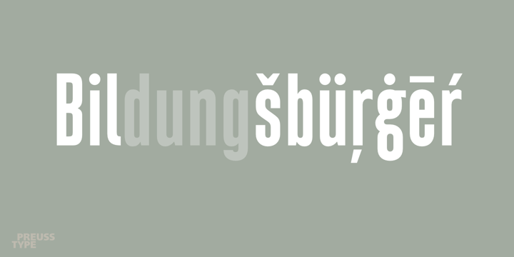 Compressa Font Poster 4