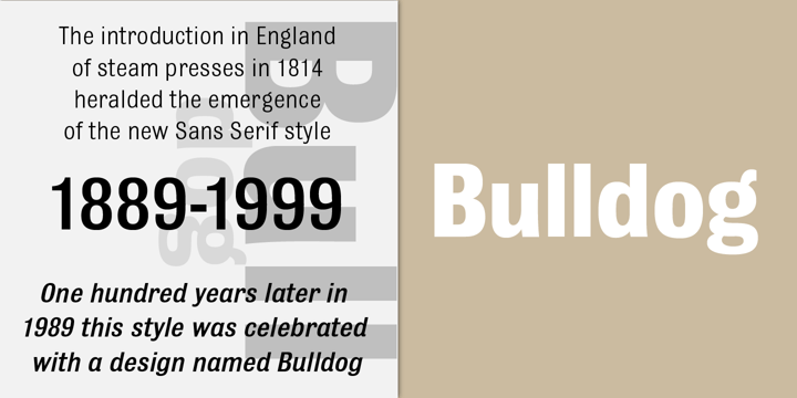 Bulldog Font Poster 1