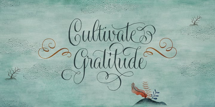 Gratitude Script Font Poster 10