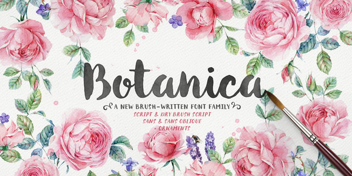 Botanica Font Poster 1
