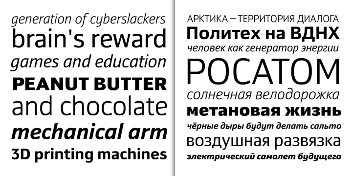 Yefimov Sans Font Poster 2