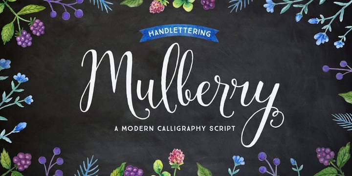 Mulberry Script Font Poster 1