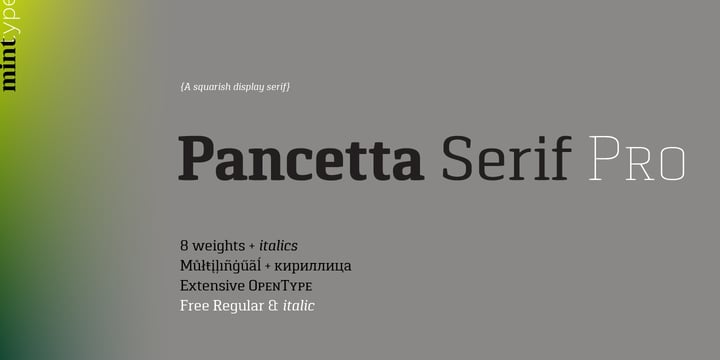 Pancetta Serif Pro Font Poster 1