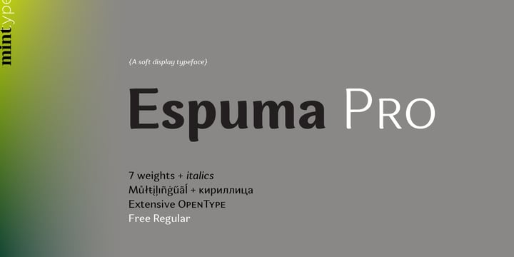 Espuma Pro Font Poster 1