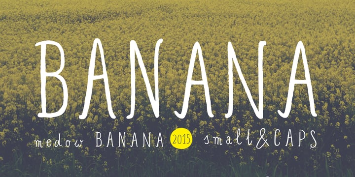 Banana and Sun Font Poster 1
