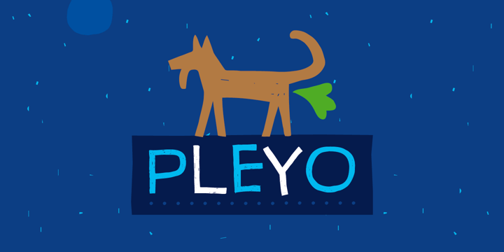 Pleyo Font Poster 1