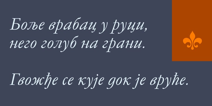 Garamond Antiqua Pro Font Poster 7