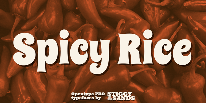 Spicy Rice Pro Font Poster 1