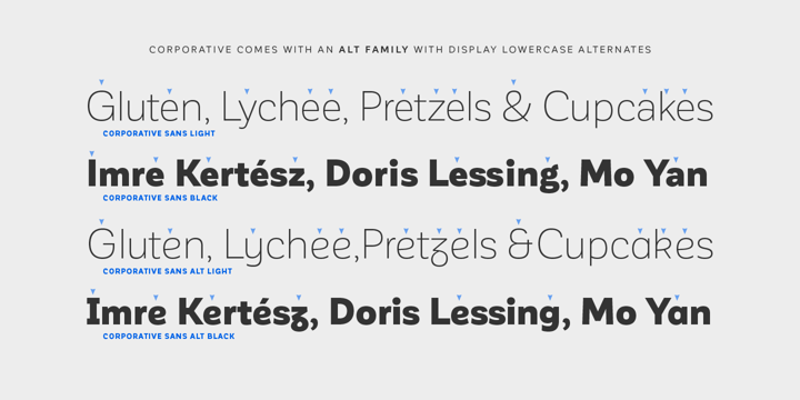 Corporative Sans Font Poster 7