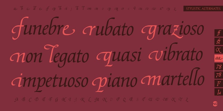 Fidelio ND Font Poster 5
