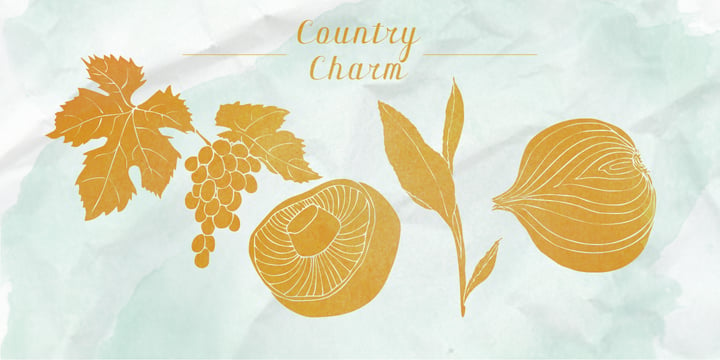 Country Charm Font Poster 2