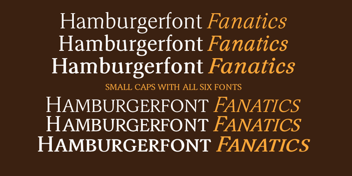 Mavin Font Poster 5