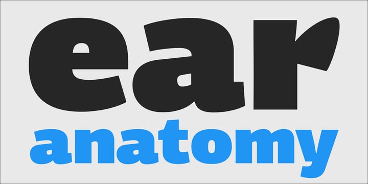 PF Centro Sans Pro™