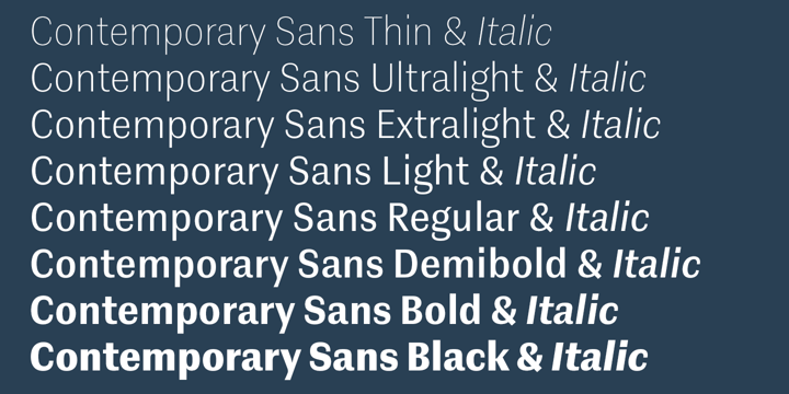 Contemporary Sans