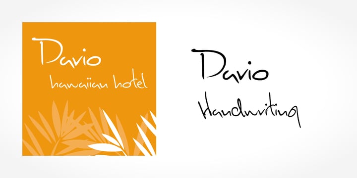 Dario Handwriting Font Poster 5
