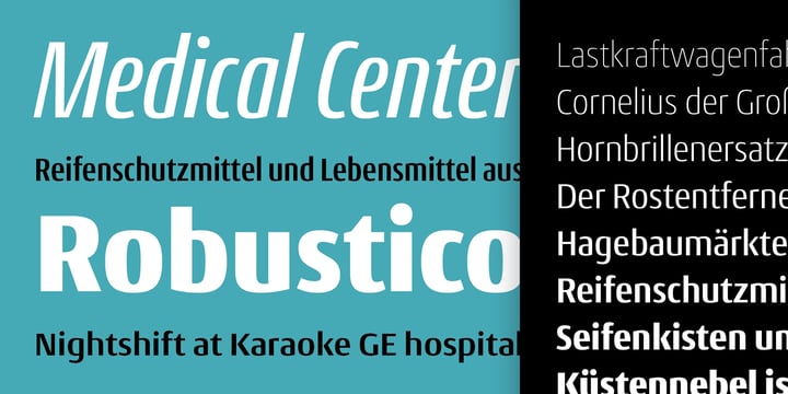Conto Font Poster 6