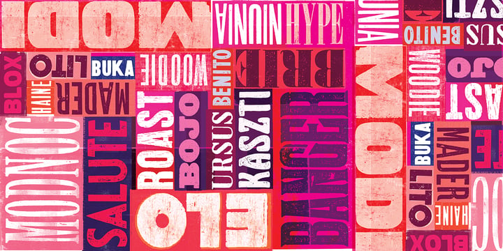 WOODTYPE Collection Font Poster 5