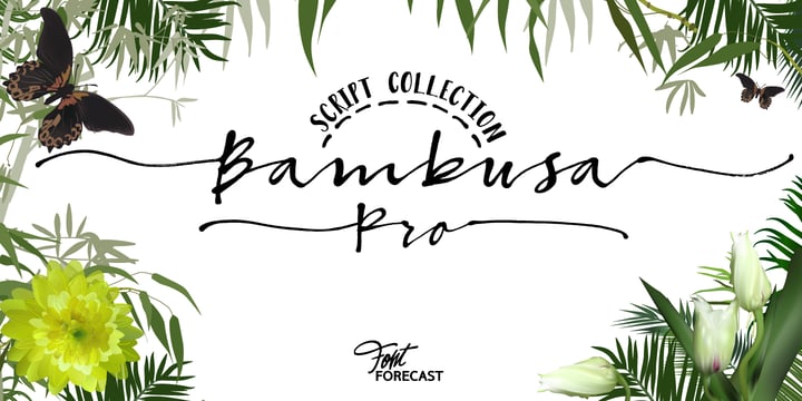 Bambusa Pro Font Poster 1