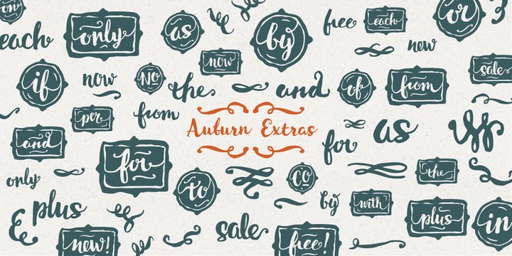 Auburn Font Poster 5