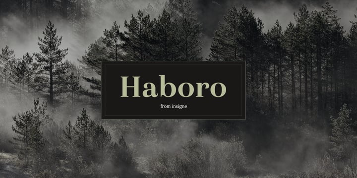 Haboro Font Poster 1