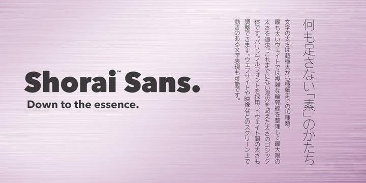 Shorai Sans Variable Font Poster 11