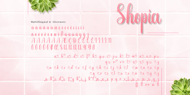 Shopia Modern Calligraphy Font Poster 13