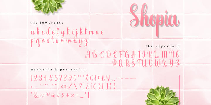 Shopia Modern Calligraphy Font Poster 4