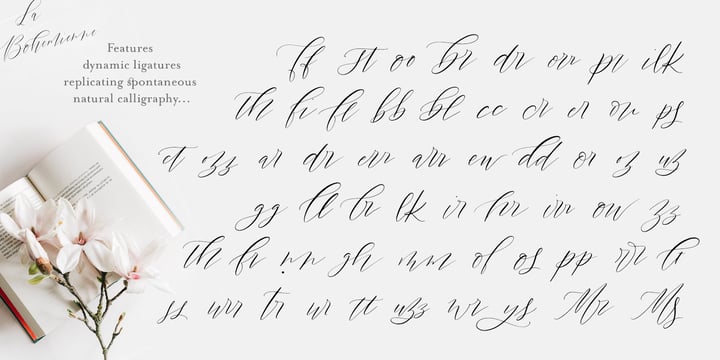 La Bohemienne deLuxe