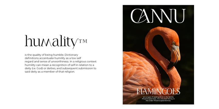 Cannu Font Poster 5
