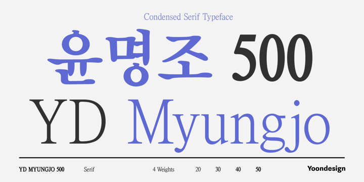 YD Myungjo 500 Font Poster 1