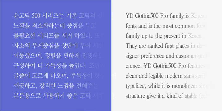 YD Myungjo 500 Font Poster 5