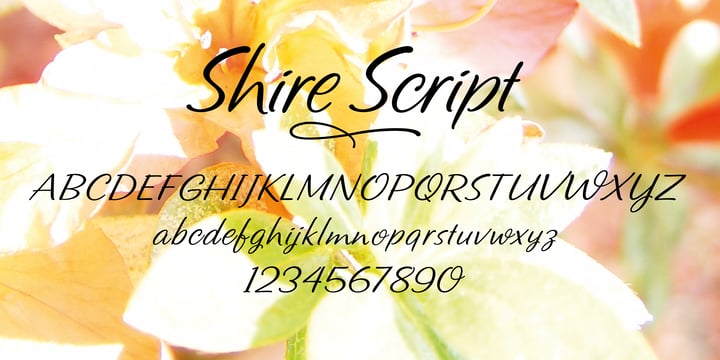 Shire Script Font Poster 2
