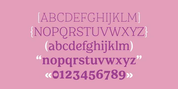 FS Rosa Font Poster 7