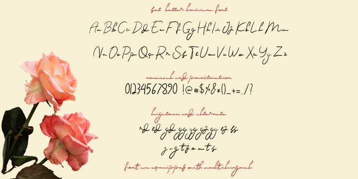 Luciana Font Poster 10
